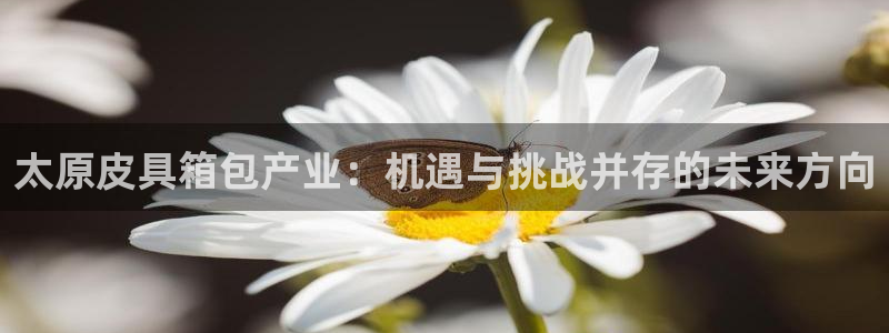 富邦娱乐会员账号大全