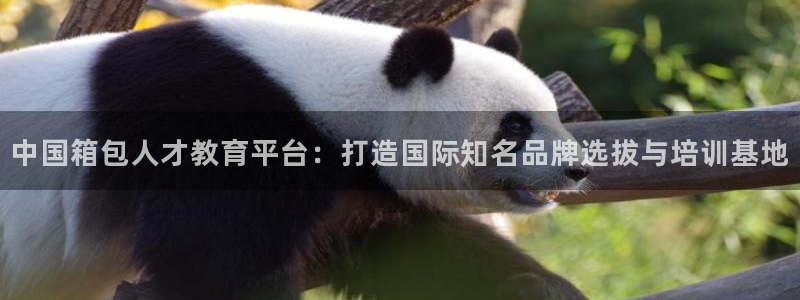 富邦娱乐平台