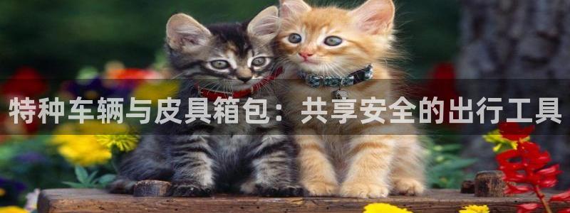 富邦娱乐场所