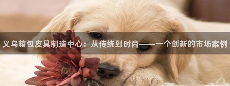 富邦娱乐 富邦娱乐平台