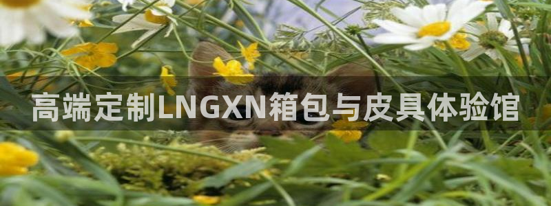 富邦翡翠娱乐会所电话