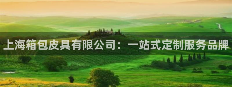 富邦美业势不可挡娱乐