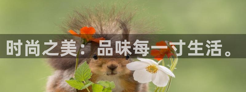 富邦美业势不可挡娱乐
