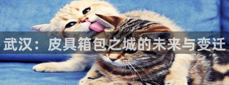 富邦广场翡翠娱乐会所