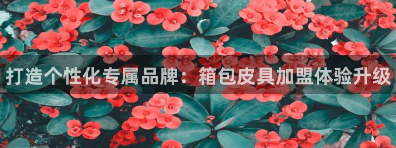菲律宾富邦娱乐