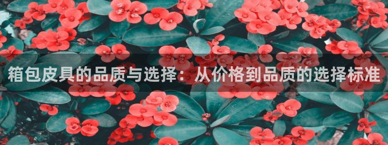 富邦娱乐澳门娱乐网址