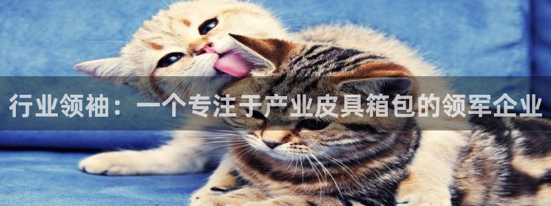 富邦娱乐2024最新消息