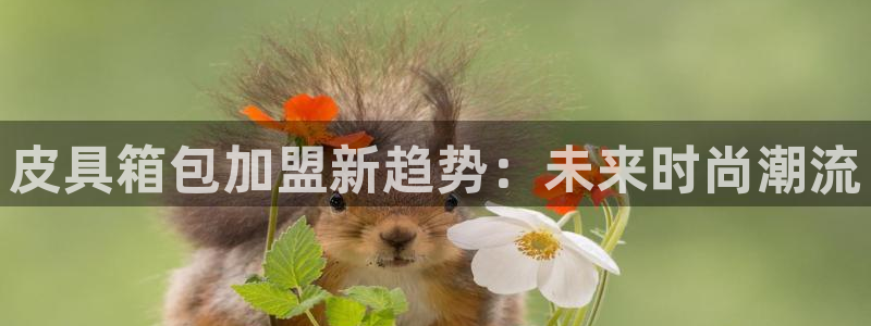 富邦娱乐城
