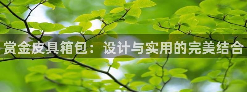 富邦娱乐国际