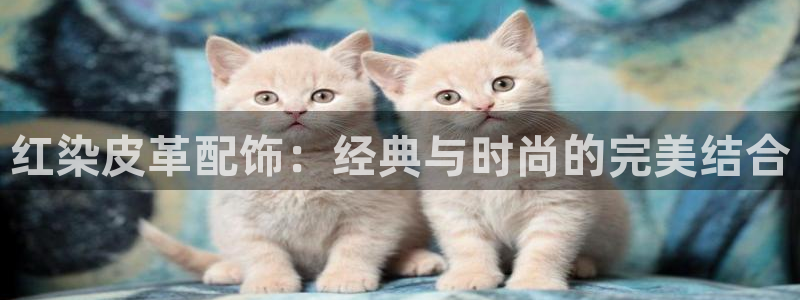 富邦娱乐被风控怎么办