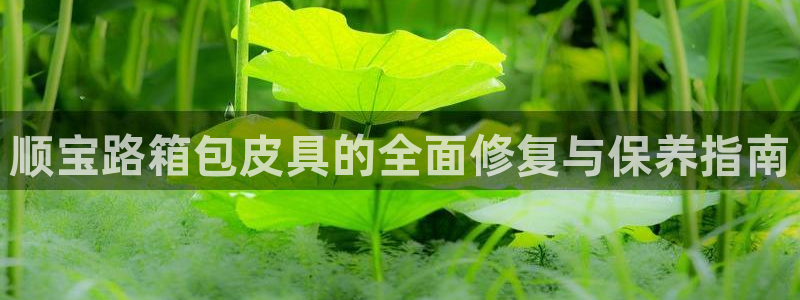 宁波北仑富邦娱乐