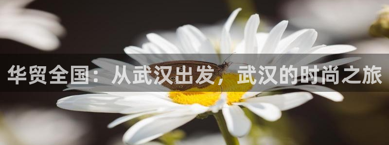 富邦娱乐2024最新消息