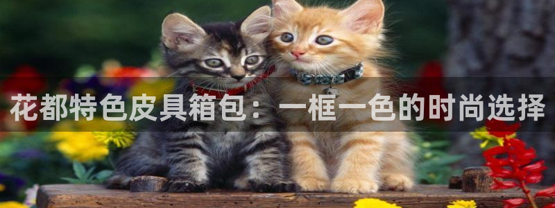 富邦娱乐会所杭州