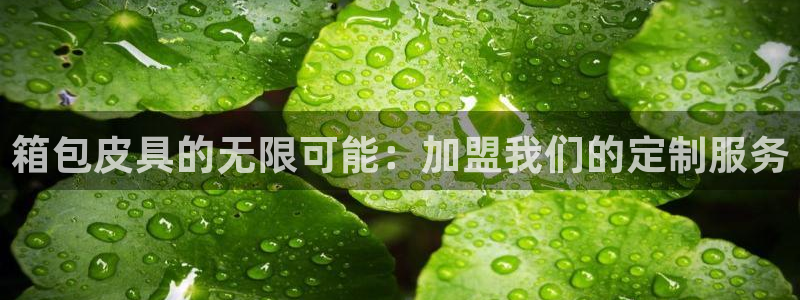 富邦娱乐场线路