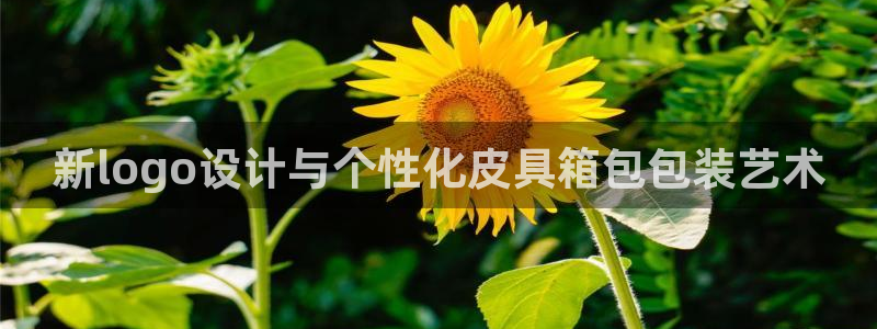 天象娱乐和宁波富邦