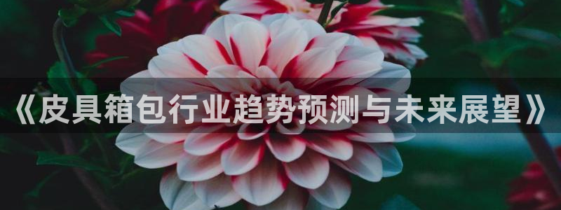 富邦娱乐有限公司怎么样