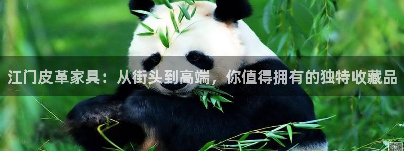 富邦娱乐官网 全礴网