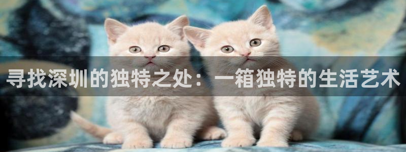 富邦娱乐 皇恩靠谱