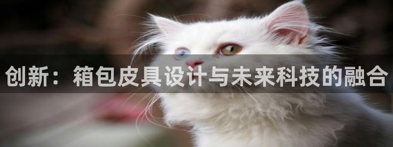 杭州富邦娱乐集团