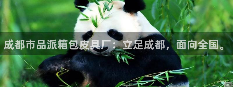 富邦线上娱乐城