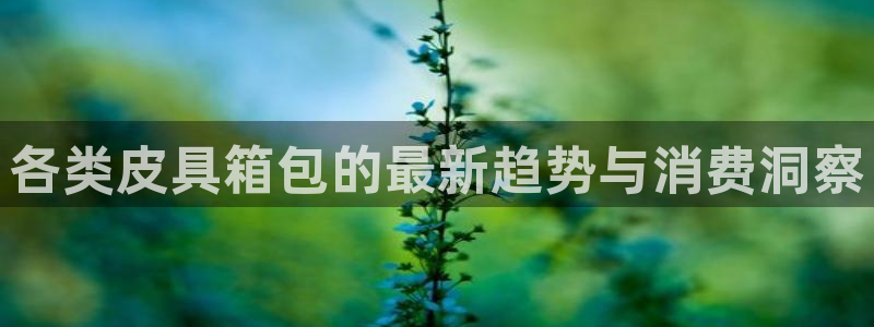 富邦娱乐有限公司怎么样