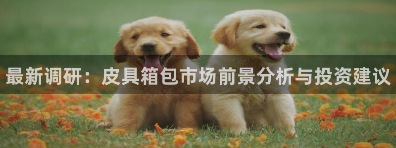 北仑富邦推荐娱乐项目