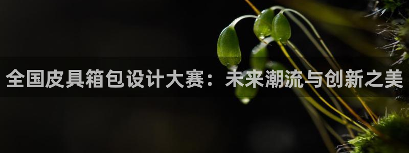 上海邦富娱乐有限公司