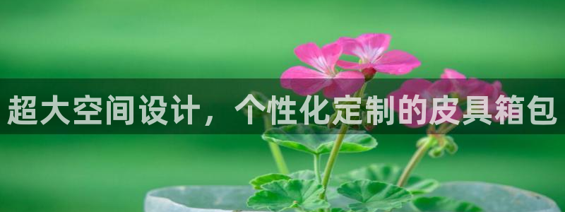 富邦娱乐登入探索无限空间