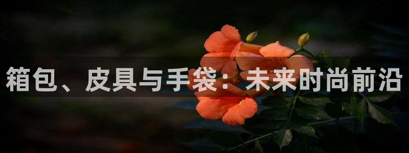 富邦娱乐-真博百楽