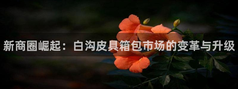 fub富邦娱乐线路检测