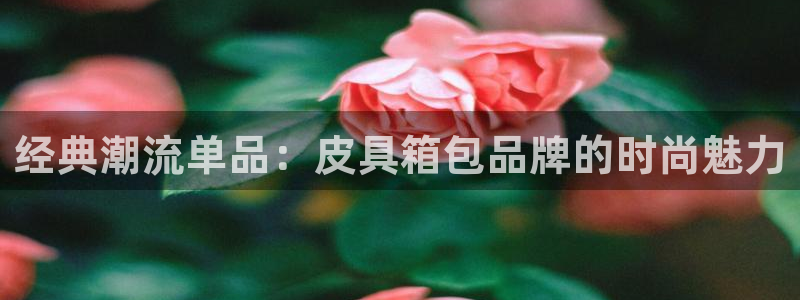 富邦娱乐 www.3806.com