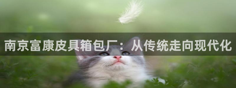 富邦娱乐平台-皇恩靠谱