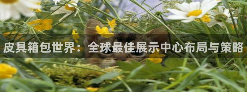 天象娱乐和宁波富邦