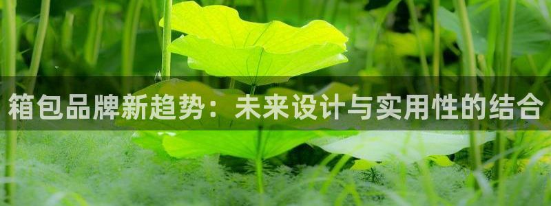 富邦广场北仑娱乐