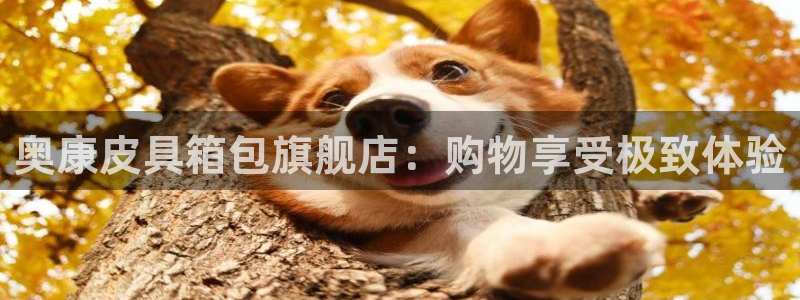 富邦商务娱乐会所地址