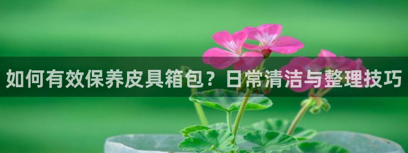 富邦娱乐花花公子