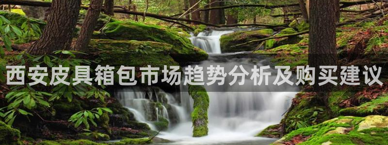 富邦娱乐官方网站