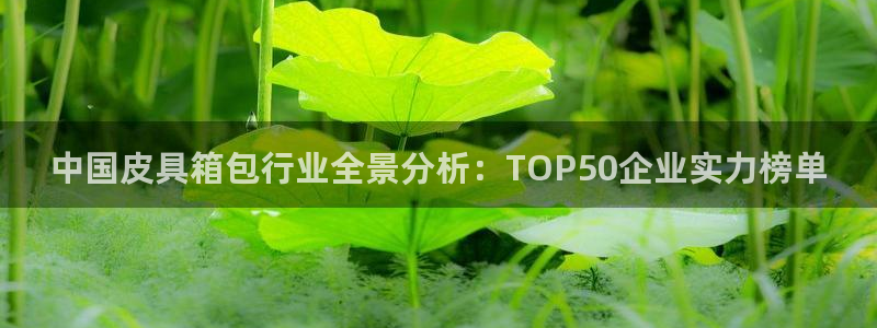 富邦娱乐网站多少