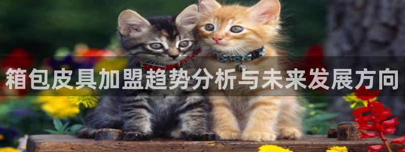 杭州临平富邦娱乐厅