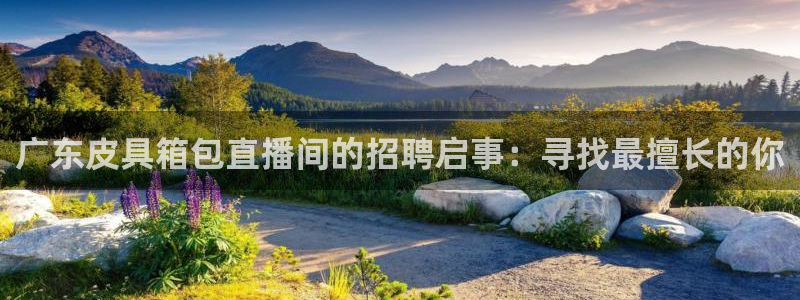 富邦娱乐登入 全礴网