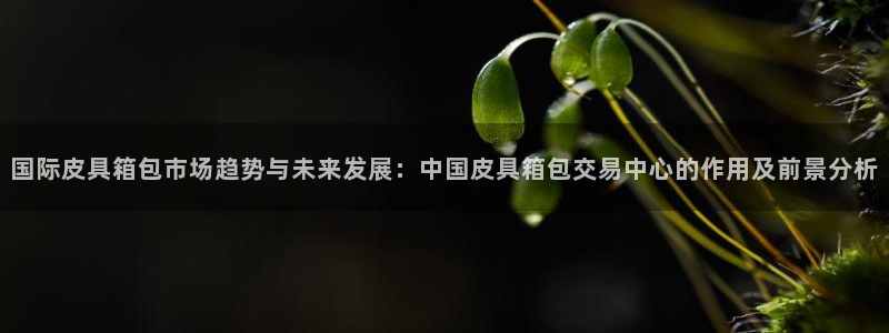 富邦娱乐-真博百楽