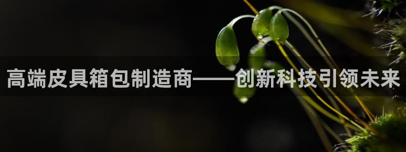 富邦娱乐-xjh996缅甸