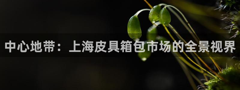 富邦娱乐网站多少