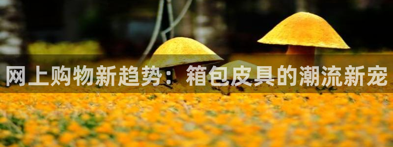 富邦娱乐大厅优惠活动