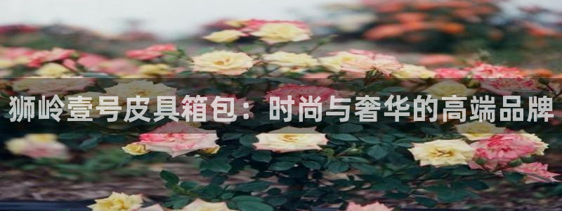 富邦娱乐老品牌