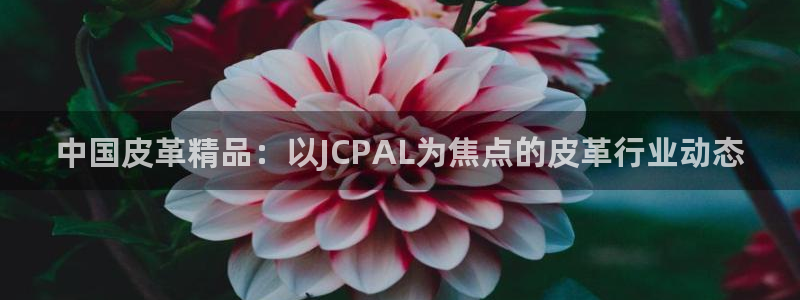 富邦天日娱乐有限公司