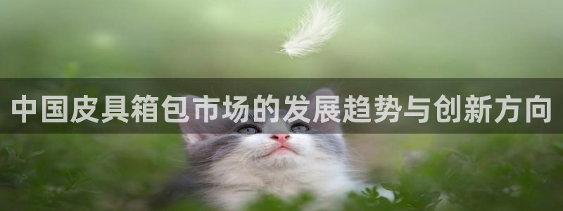 富邦娱乐被风控怎么办