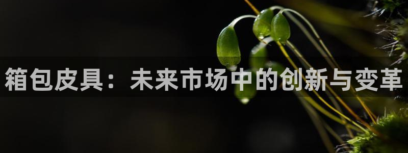 富邦天娱娱乐有限公司