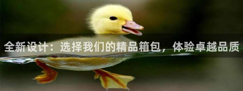 富邦翡翠娱乐