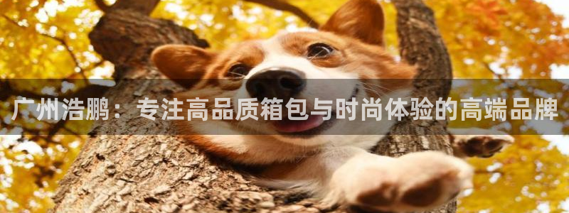 富邦娱乐游艺